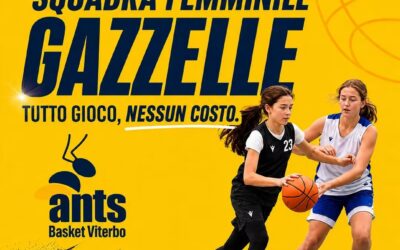Grandi novità per la stagione del Minibasket